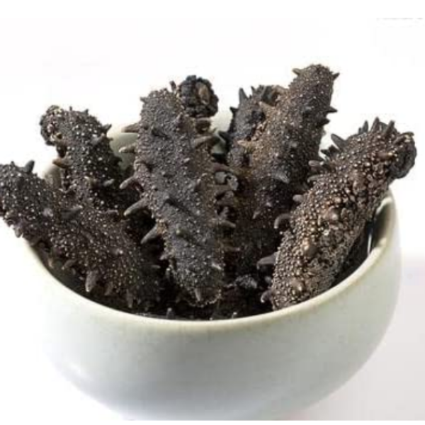 sea_cucumber3_1