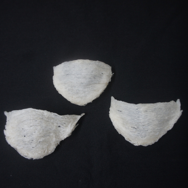 triangle_1